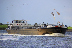 Berlemar S - 211455190