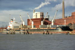 Florinda - IMO 9423499