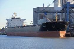 Hong Dai - IMO 9563603
