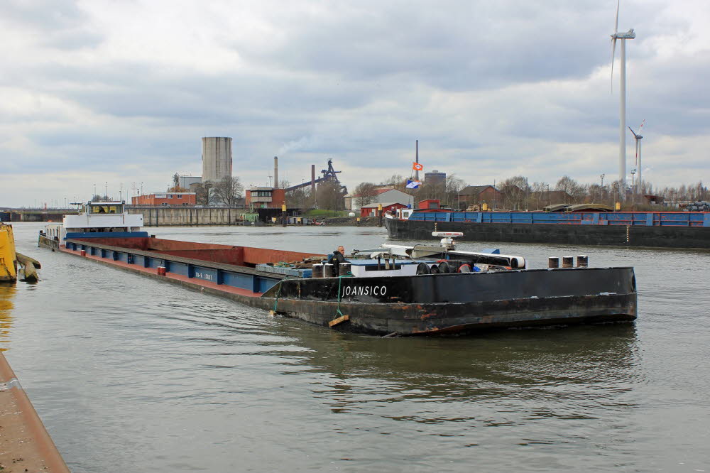 Joansico - 244690772