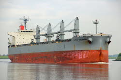 Luisia Colossus - IMO 9420318