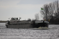 MS Rolf - 211463580