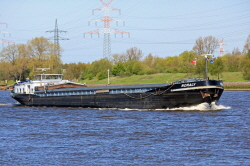 Noraly - 244750640