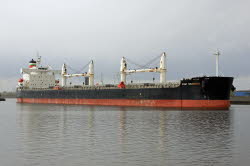 Port Shanghai - IMO 9423528
