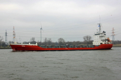 Tingo -  IMO 8917742