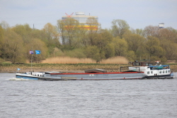 Ysselmond - 244730398